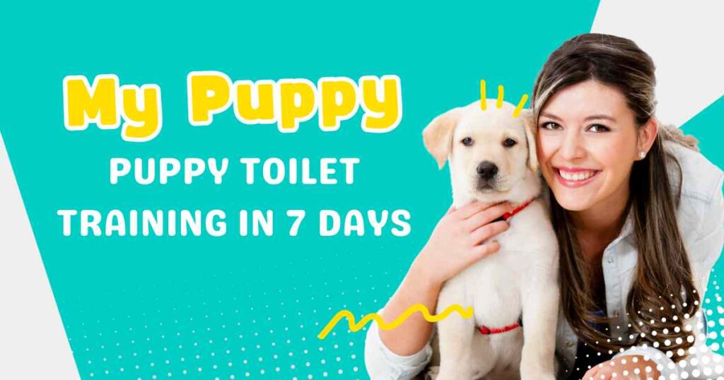 puppy toilet training in 7 days