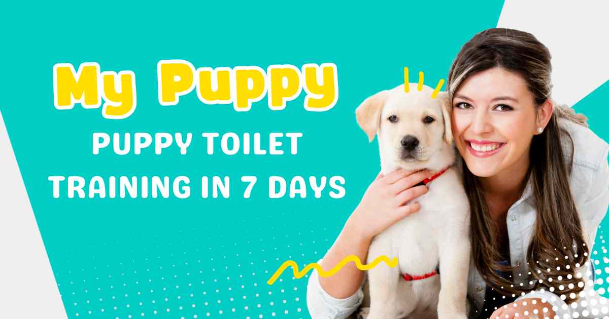 Puppy toilet training schedule, Quick puppy potty training guide, 7-day puppy housebreaking plan, Positive reinforcement for puppy training, Indoor puppy training pads tips, Effective bathroom break timing for puppies, Puppy potty training command techniques, Managing puppy accidents indoors, Consistent puppy training routine, Successful puppy toilet training tips,